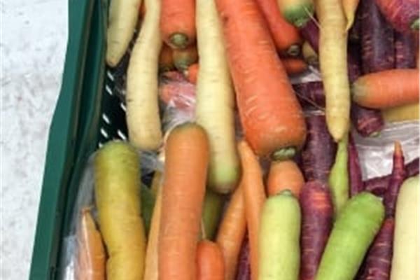 Regenboogwortelen Producten in de kijker Webshop