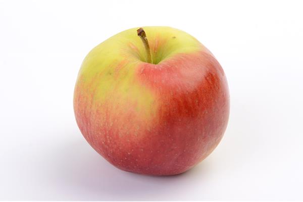 Appelen Santana Producten in de kijker Webshop