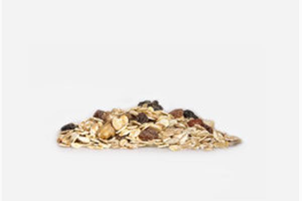 BIO speltflakes - fruit & vezels Producten in bulk Webshop