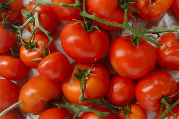 trostomaten Vers aanbod in de winkel op 3 april en 4 april Webshop