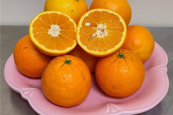 Sinaasappelen Valencia Producten in de kijker Webshop