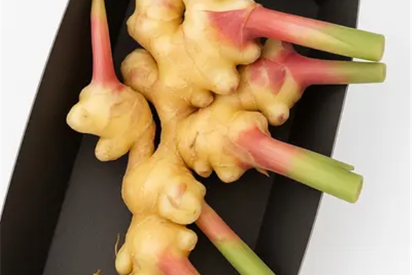 Verse Baby Gember Producten in de kijker Webshop
