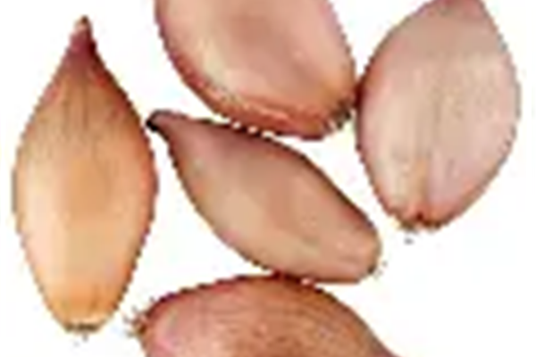 Sjalotte Producten in de kijker Webshop