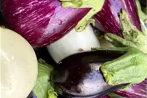 Auberginemix Producten in de kijker Webshop