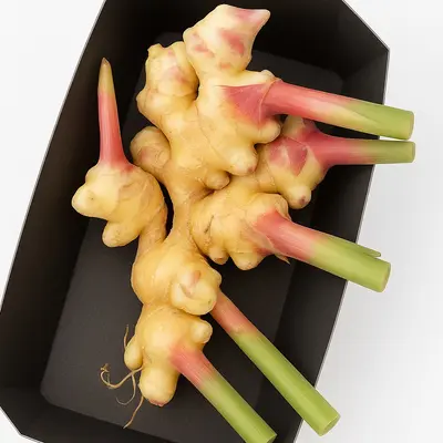 Verse Baby Gember Producten in de kijker Webshop